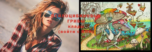 mix Медвежьегорск