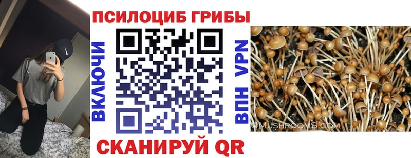 Галлюциногенные грибы Psilocybine cubensis  блэк спрут сайт  Эртиль 